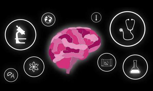 Graphic of a human brain surrounded by symbols of scientific fields